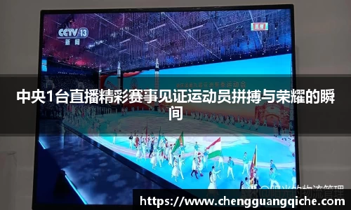 yy体育