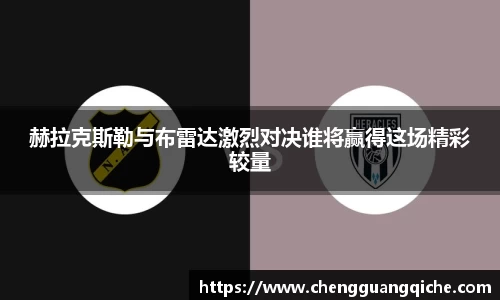 yy体育